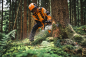 Preview: Stihl MS 300 C-M VW