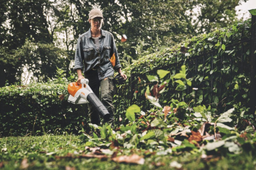 Preview: Stihl BGA250