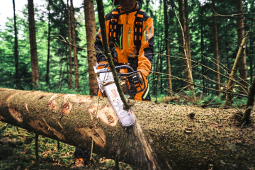 Stihl MS 300 C-M VW