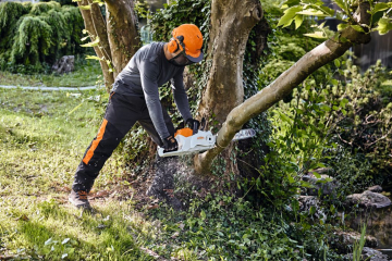 Stihl MSA 220 C-B