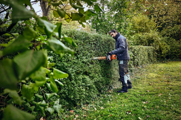 Stihl HSA 100