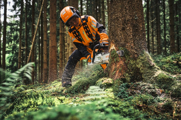 Stihl MS 300 C-M VW